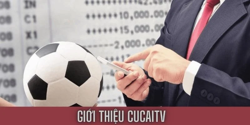 Củ Cài TV nơi cung cấp tin tức thể thao hấp dẫn cho người dùng
