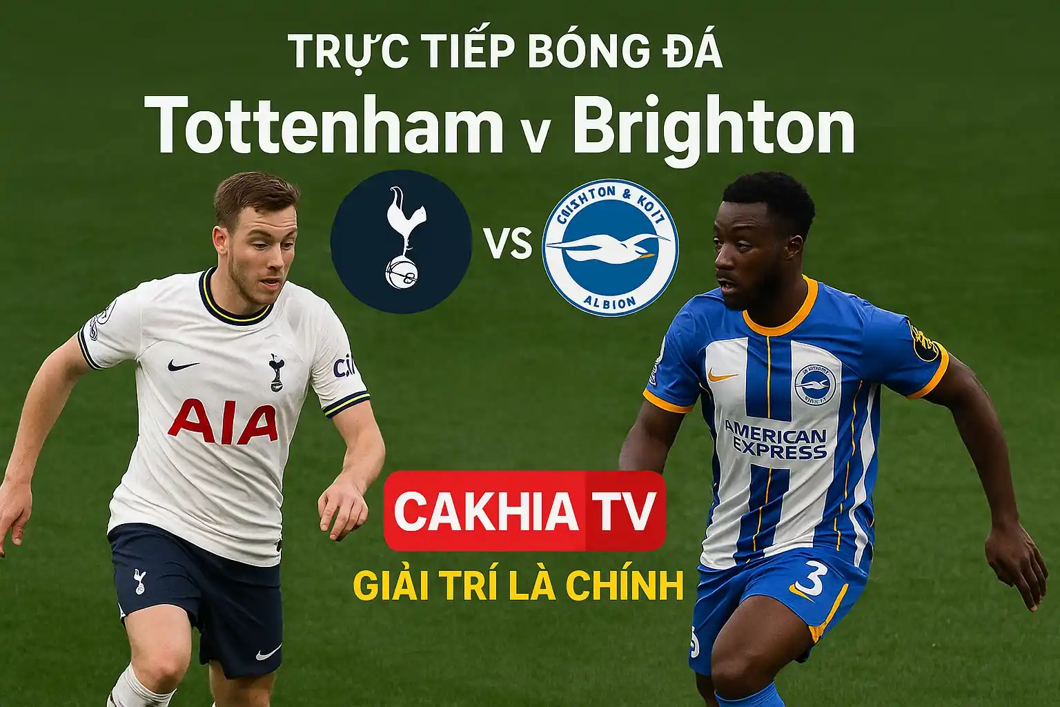 Trực tiếp bóng đá Tottenham vs Brighton trên CakhiaTV – Giải trí là chính